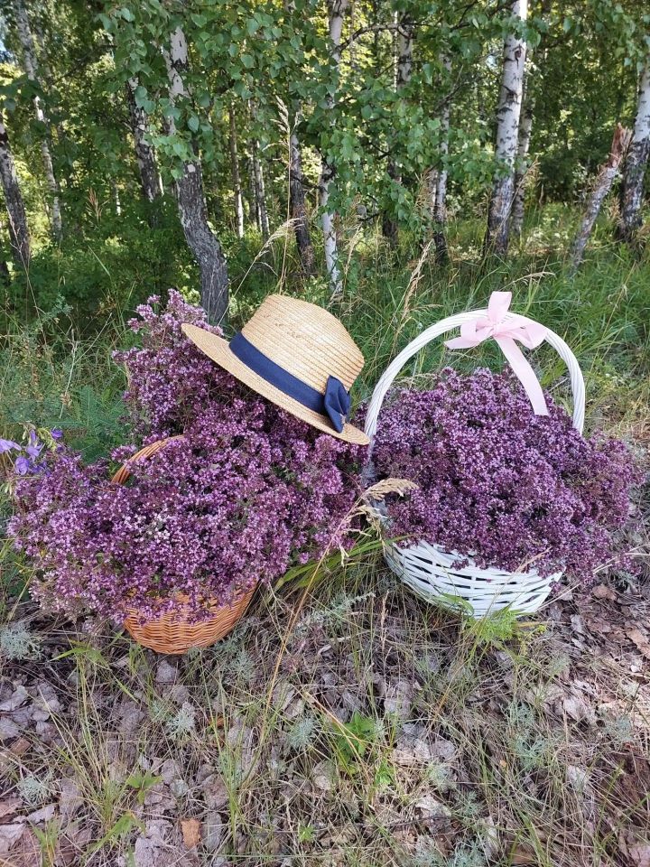 Кайбычта  Мәтрүшкә бәйрәме
