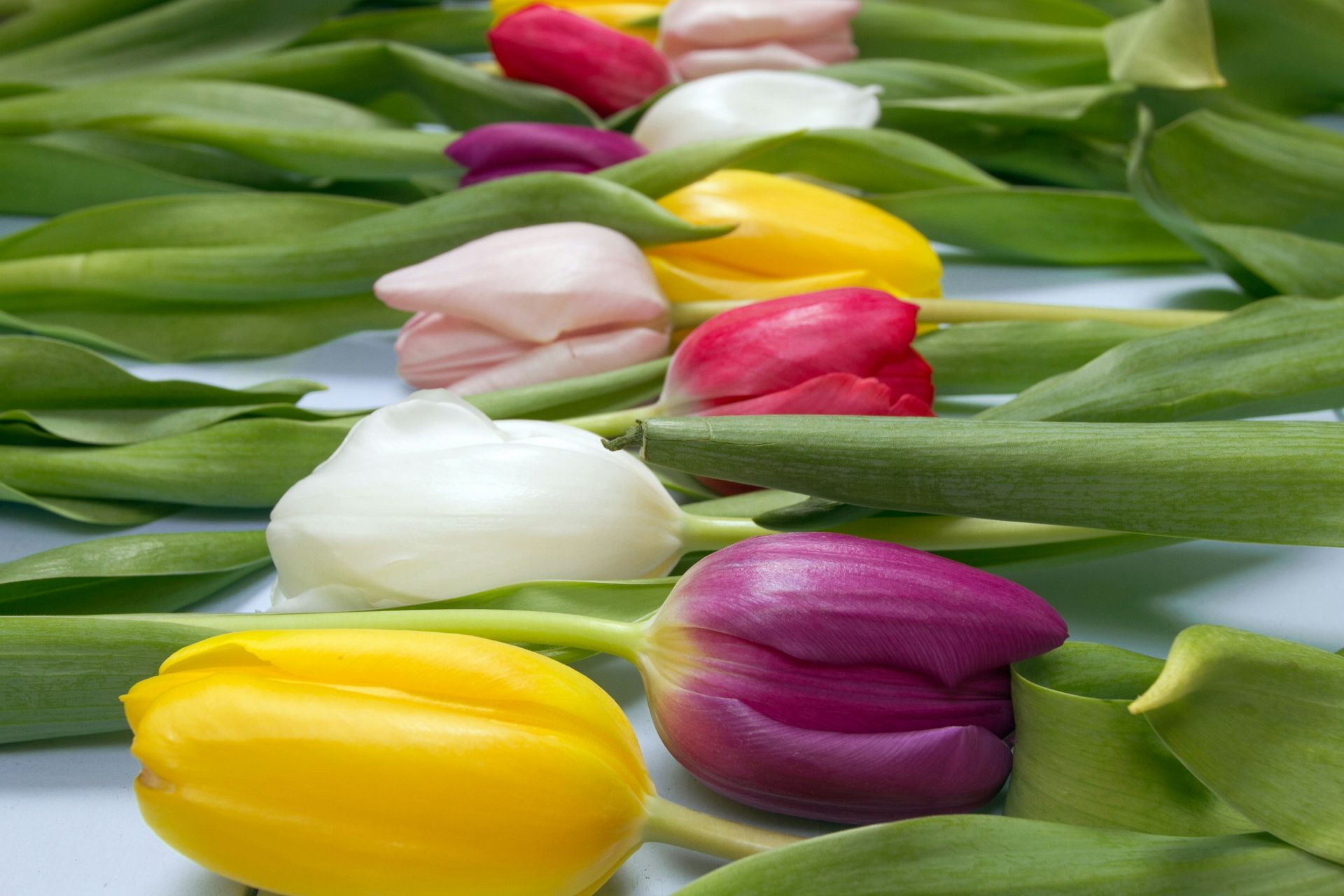 В марте россиян ожидает сокращенная рабочая неделя