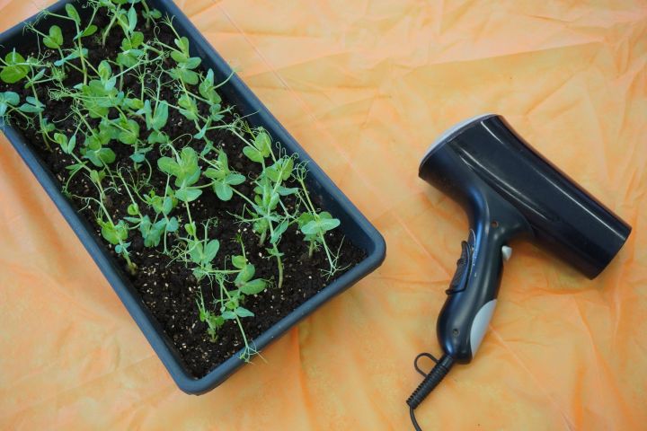 Агрономия: от теории к практике – встреча юных исследователей природы в Казани