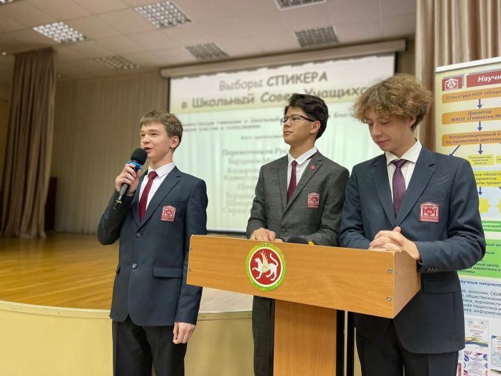 Школьные выборы