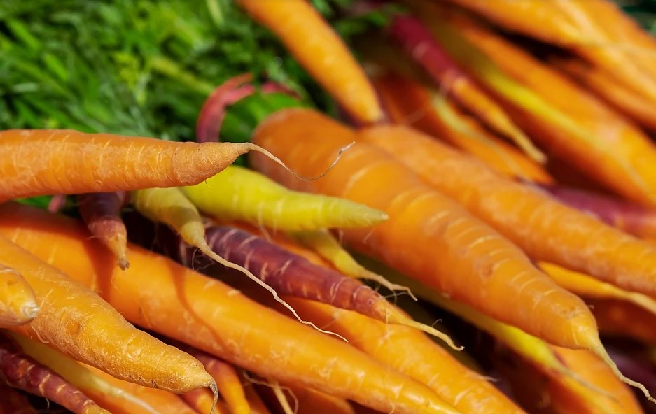 Морковь на вес золота