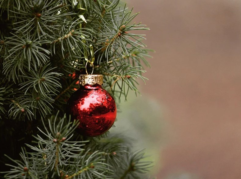 Новогодние елки в Татарстане за год подорожали на 30%