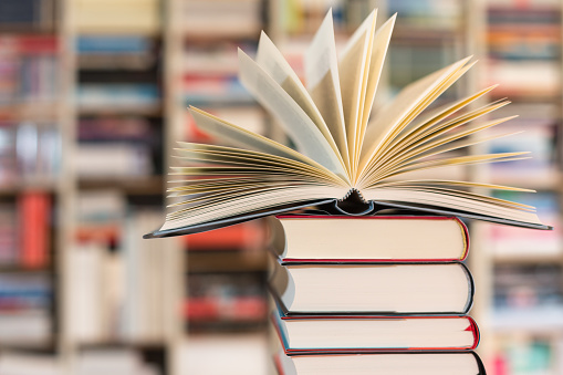  «Балалар энциклопедиясе» сериясендә бөҗәкләрдән алып континентларга кадәр сөйләүче  татарча китаплар дөнья күрде