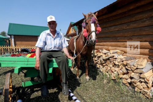 Как Татарстан отмечает Сабантуй