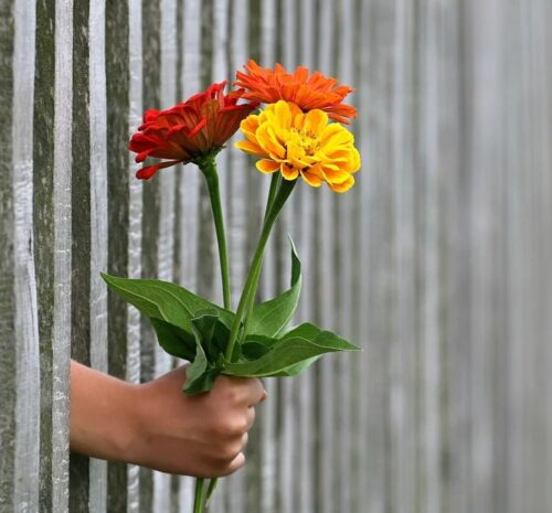 Появился ещё один профессиональный праздник