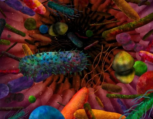 Найдены микробы, способные исправить мутации ДНК