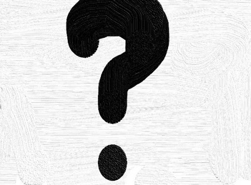 Новые обитатели казанского зоопарка. Кто же это такие?