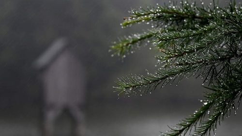 Смола против гриппа