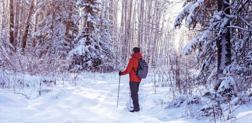 Любители скандинавской ходьбы отправятся на экскурсию по Русско-Немецкой Швейцарии