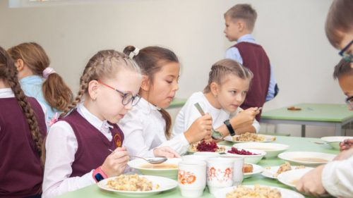 Экспертный совет рассмотрел вопрос об организации школьного питания