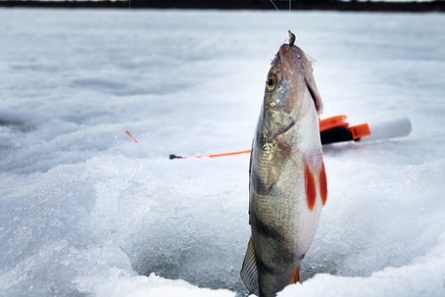 Специалисты и школьники РТ провели на реке Ик акцию по спасению рыбы от замора