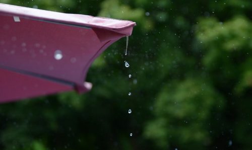 Лето в Татарстане может наступить на неделю раньше