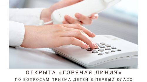 Открыта «горячая линия» по вопросам приема детей в первый класс