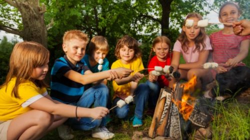 По программе детского туристического кешбэка куплено уже более 300 тысяч путевок