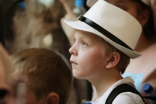 Авторское видение: Российское движение школьников открыло прием заявок на конкурс дизайна школьной формы