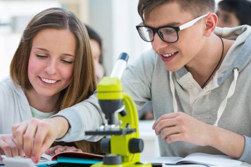 В России появится система сопровождения для участников международных школьных олимпиад