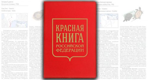 Новые виды в Красной книге