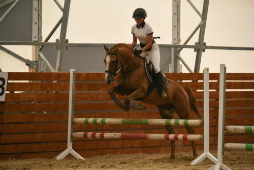 В Челнах открылся крытый манеж (Фото)