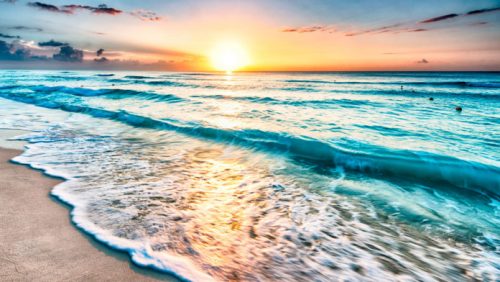 Проездной для учителей