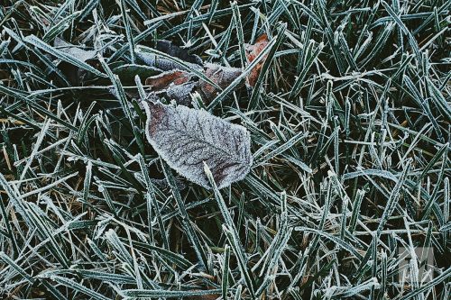 Вернется тепло в Татарстан?