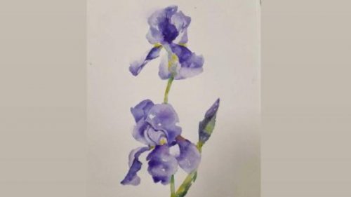 Рисунок казанской школьницы войдет в ботаническую библиотеку России