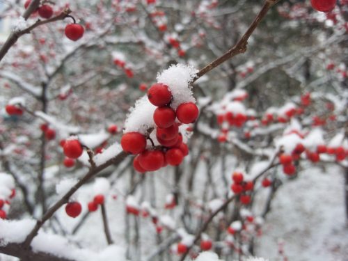 Сегодня существенно снизиться температура